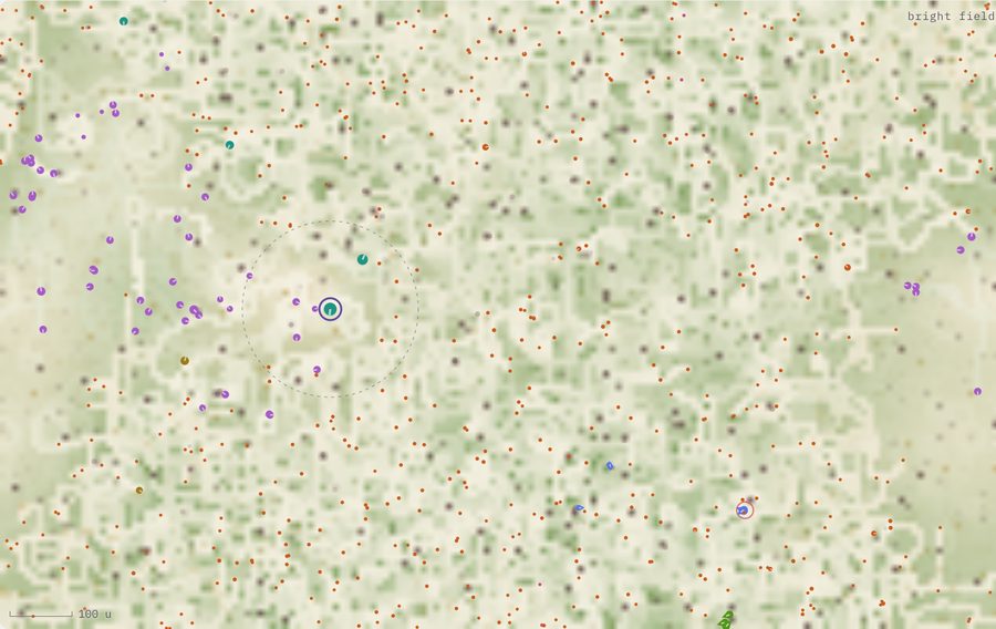 Petri Dish: an evolving ecosystem